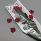 KONSERVIERTE ROSE