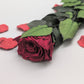 KONSERVIERTE ROSE