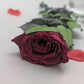 KONSERVIERTE ROSE